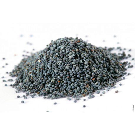 PAVOT 1KG                                                                                                                                                                                                                                                                                                                                                                                                                                                                                                                                                                                                                                                                                                                                                                                                                        