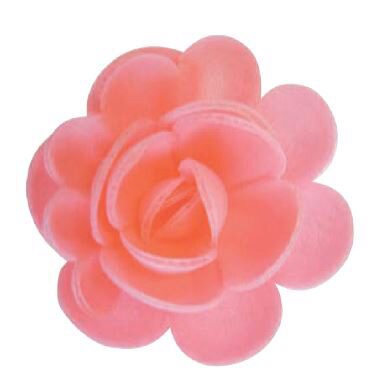ROSE CARMIN 58025 ROGE                                                                                                                                                                                                                                                                                                                                                                                                                                                                                                                                                                                                                                                                                                                                                                                                           